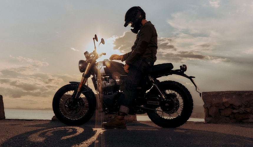 Bear 650